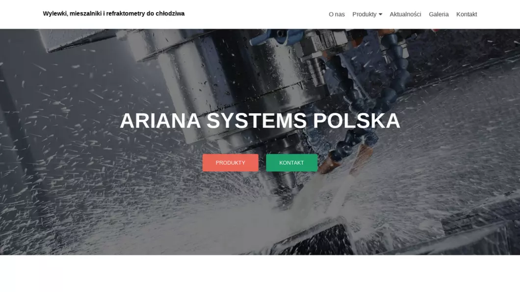 Zrzut ekranu strony